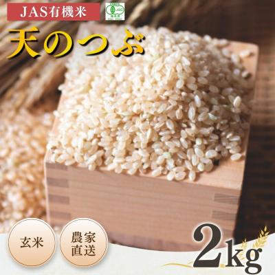 ふるさと納税 南相馬市 JAS有機米 天のつぶ 玄米 2kg 令和7年産 根本有機農園 bd002-aj
