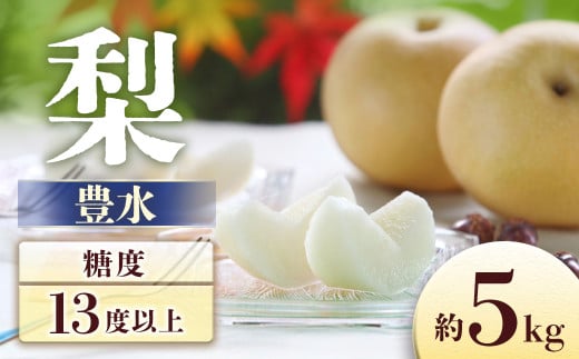 【2026年発送先行予約】梨　豊水 約5kg【8～16玉】※2026年9月発送予定※