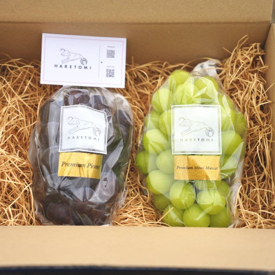 ＜HARETOMI＞プレミアム「ピオーネ＆シャインマスカット」各1房（計2房）