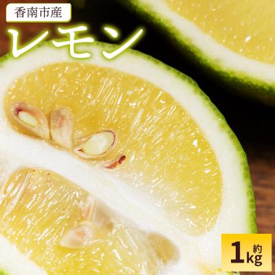 ふるさと納税 香南市 【2026年9月発送】レモン 1kg sj-0008