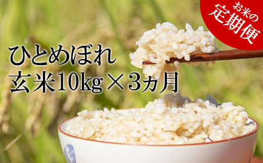 令和6年産 ひとめぼれ 玄米 10kg 3ヶ月 定期便 ／ 米 産地直送 岩手県産 【かきのうえ】