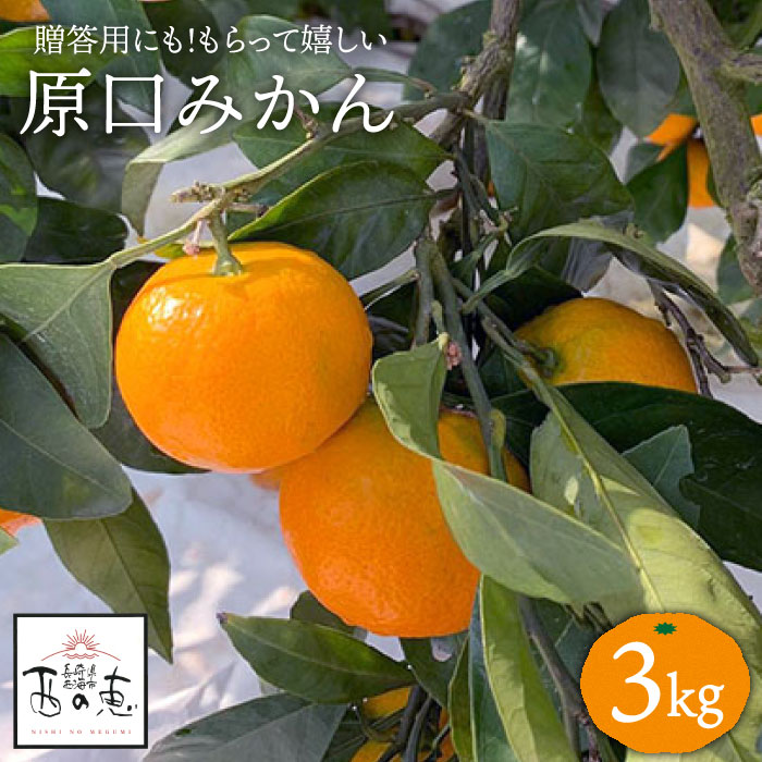 【ふるさと納税】【先行予約☆贈答にもオススメ】「西の恵」 原口みかん 約 3kg＜ファームまるだ＞ [CDT005] 長崎県 西海市 みかん ミカン 柑橘 フルーツ 西海 オレンジ 果物 ミカン 贈答 ギフト フルーツ 果実 甘い あまい デザート 新鮮 産地直送 くだもの ギフト