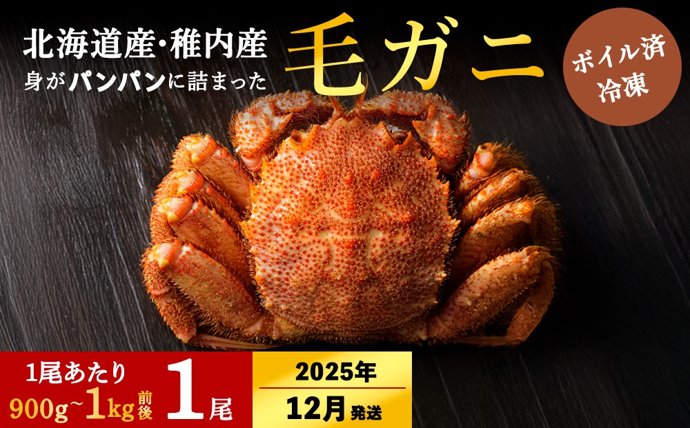 
            【2025年12月中旬発送】【ボイル済み急速冷凍】身がパンパンに詰まった稚内産毛ガニ900g～1kg（超大サイズ）×1尾
          