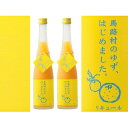 【ふるさと納税】ゆず梅酒　500ml×2本　＜篠崎＞　【お酒・洋酒・リキュール類】