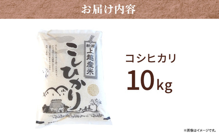 【新潟県　上越産】 コシヒカリ 10kg　閻魔大王の里で育まれたお米 上越市 精米 米