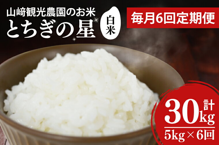 【ふるさと納税】★令和7年★ 米 5kg 白米【全6回定期便】＜毎月＞ 山崎観光農園のお米 とちぎの星 5kg（合計 30kg）単一原料米 100% ｜栃木県 益子町 ふるさと納税 お米 米 白米 精米 5kg 6ヵ月 令和7年産 定期便（AU036）
