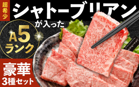 【希少部位 シャトーブリアン入り】長崎和牛 希少部位 焼肉 6種食べ比べセット 600g(各100g) / 国産 牛肉 和牛 肉 a5 焼肉 やきにく 焼き肉用 セット / 諫早市 / 野中精肉店[A