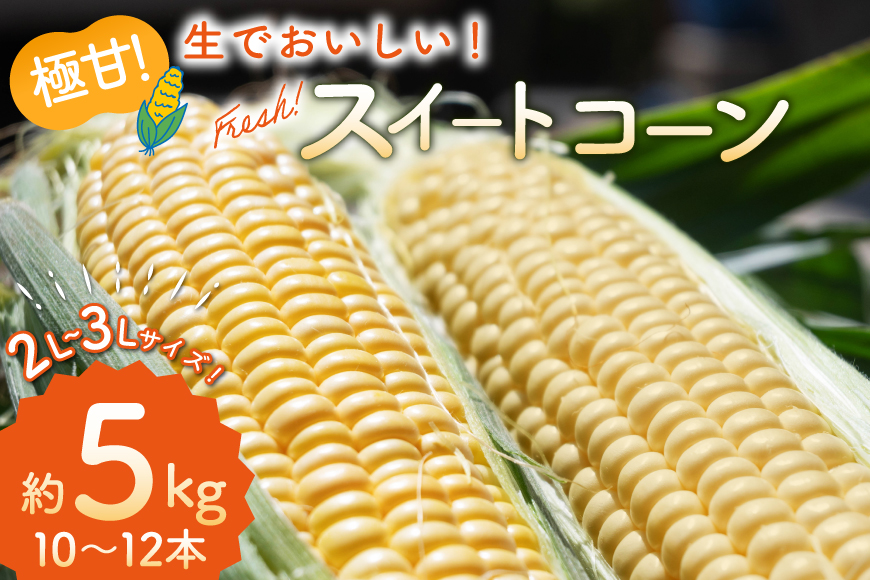 AI207【令和8年度出荷分】とうもろこし スイートコーン イエロー 2L〜3Lサイズ 10本〜12本 約5kg [ トウモロコシ コーン ゴールドラッシュ 野菜 5キロ さかいさんち SAKAI F
