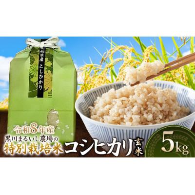 ふるさと納税 鶴岡市 【令和8年産】特別栽培米コシヒカリ玄米5kg[K-834]