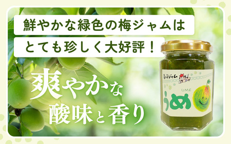 【福井県産】梅を使った 梅ジャム× ３個セット 着色料・保存料不使用！ [m03-a046]