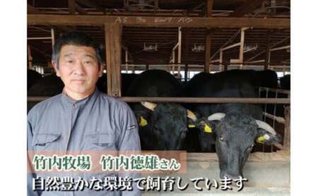【ふるなびWEEK対象】 竹内牧場 信州プレミアム牛肉 切落し焼き肉セット（牛匠かぐらもみだれ付き）750g×2セット黒毛和牛 タレ付き 焼肉 やきにく 長野 FN-Limited-WE