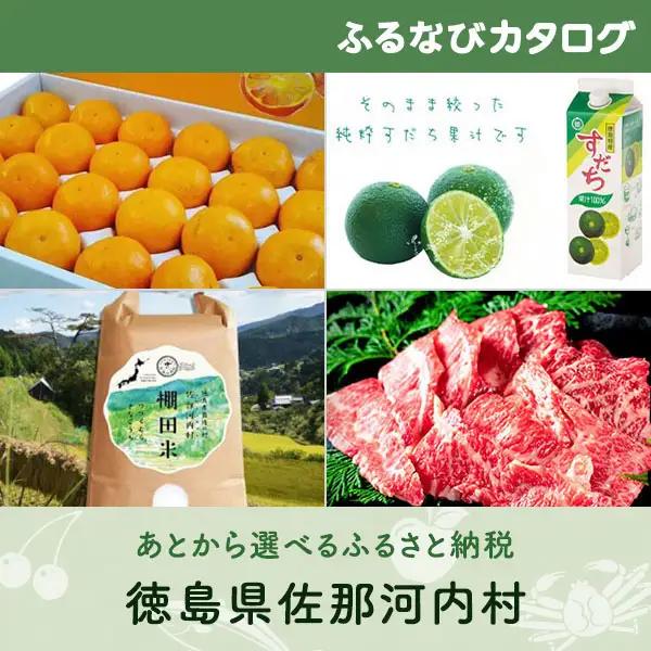 【有効期限なし！後からゆっくり特産品を選べる】徳島県佐那河内村カタログポイント