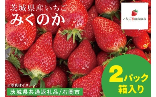 【数量限定】【離島配送不可】みくのか 2パック/箱【茨城県共通返礼品/石岡市】【いちご イチゴ 苺 果物 くだもの  フルーツ 茨城県】（LX-7）