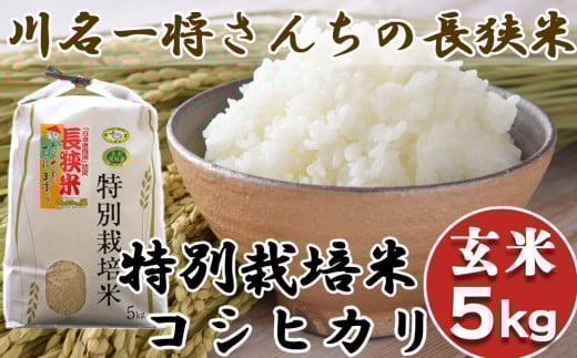 【千葉県知事賞受賞】川名一将さんちの長狭米 特別栽培米コシヒカリ5kg【玄米】[0016-0027]
