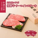 【ふるさと納税】【高島屋選定品】 ＜熊崎畜産＞飛騨牛サーロインステーキ 量が選べる( 2枚 500g / 4枚 1kg ) 肉 牛肉 高級 ブランド牛 和牛 誕生日 記念日 お祝い パーティー 送料無料 岐阜県 中津川市 F4N-0564var