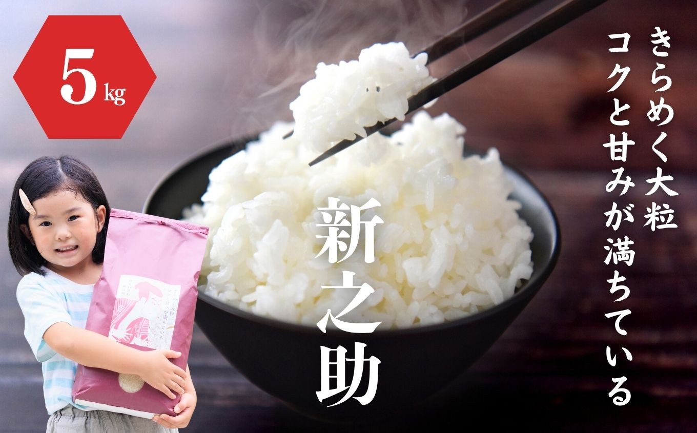 
                  令和7年産『新之助』5kg 米・食味鑑定士お墨付き 家族みんなで愛情かけて育てた米 新潟県糸魚川産 2025年 しんのすけ 白米 百姓や伝六【米 お米 こめ ご飯 ライス ふるさと納税米 食品 人気 おすすめ ギフト 新潟県の新しいブランド米 農家直送 5キロ 精米】
                