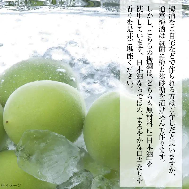 鶴岡の梅酒2本セット 佐藤屋×大山『咲くやこの花』＆羽根田酒造 羽前白梅『梅湧水』 各720ml　山形県鶴岡市 山形県酒類卸株式会社　K-843　| お酒 酒 地酒 日本酒 純米酒 純米 清酒 ご当地