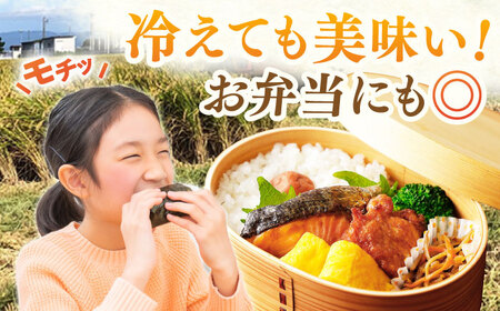 令和7年産 さがびより 玄米 5kg 【ももさき農産】特A 特A評価 [HCG016]玄米