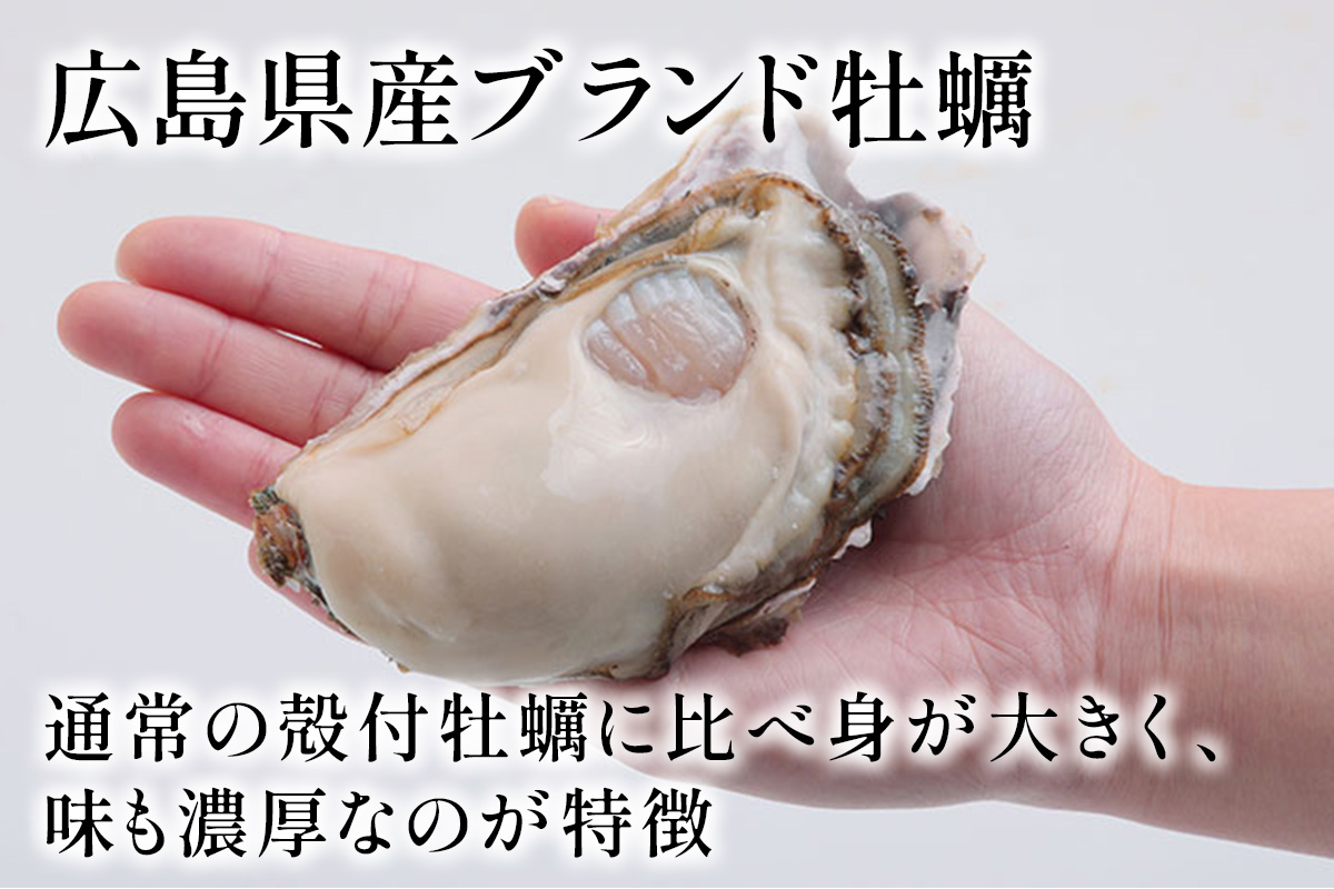 広島県産ブランド牡蠣 かき小町 6個｜かき 貝 シーフード オイスター 海鮮 魚介類 濃厚 海の幸 貝類 おおたけカキ 特大サイズ 広島 大竹市 玖波 宮島 [2627]