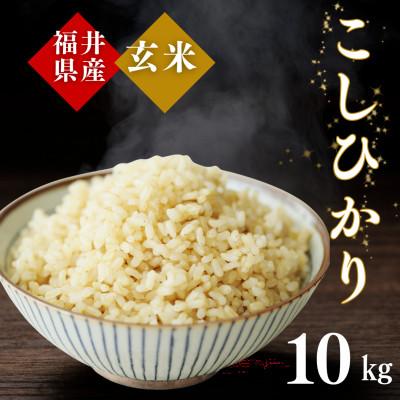 ふるさと納税 小浜市 令和7年産　福井県産こしひかり玄米10kg