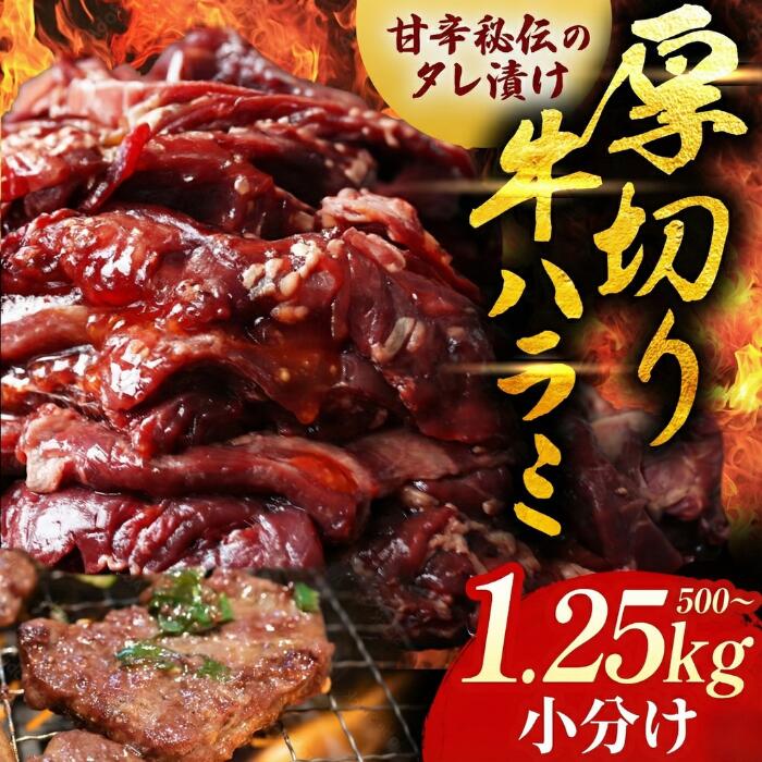 【ふるさと納税】【12/24までの寄附で年内発送】特製タレ漬け 牛ハラミ 約500g (250g×2P) ～1.25kg (250g×5P) 年内発送 年内配送 小分け 冷凍【長崎 豊味館】牛肉 ハラミ はらみ 焼肉セット BBQセット 焼くだけ 簡単 E234p