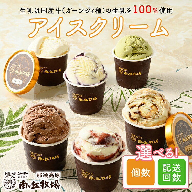 【ふるさと納税】【選べる内容と配送回数】南ヶ丘牧場 アイスクリーム 6個セット/12個セット ｜アイス 詰め合わせ アソート 贈り物 ギフト プレゼント お中元 スイーツ 高級アイス 乳牛 バニラ 苺 抹茶 チョコ コーヒー クリームチーズ ブルーベリー 牧場 人気 冷凍 那須町