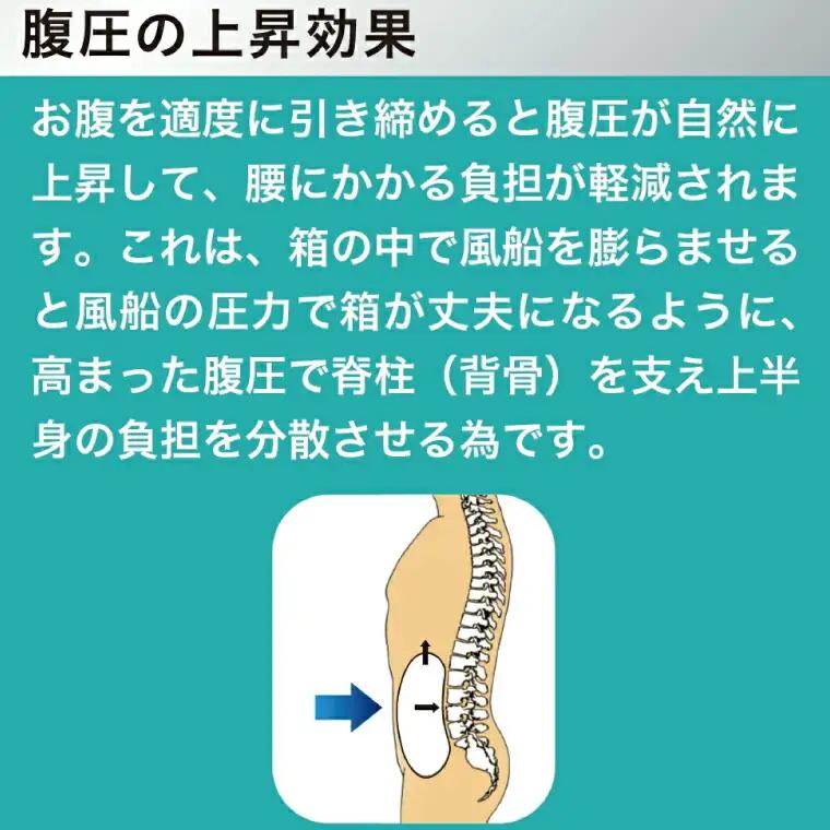 中山式腰椎医学コルセット 標準タイプ 〈 日本製 腰痛ベルト コルセット 腰 腰用 サポーター 男性 女性 男女兼用 メンズ レディース テレワーク ドライバー ふるさと納税 〉 〈サイズ：M〉