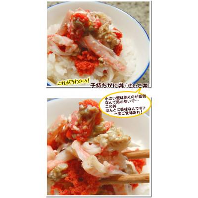 ふるさと納税 新温泉町 松葉ガニの本場　訳あり・生セコガニ(冷蔵)大サイズ　5枚　兵庫県新温泉町　 |  | 02