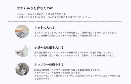 （今治タオルブランド認定）Over the Moon フェイスタオル1枚（ベージュ）【I004110FT1BE】