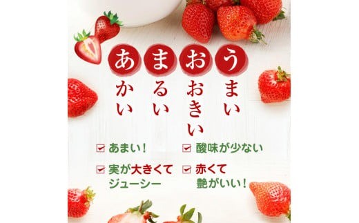 大粒セレクト！大人気のあまおう 約280g×2パック【2024年2月中旬～3月お届け】福岡県産ブランドいちご_KA0277