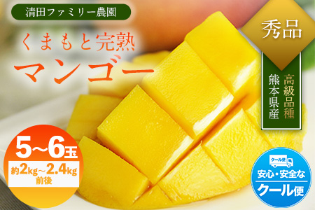 くまもと完熟マンゴー 5～6玉(約2kg～2.4kg前後) 熊本県玉名郡玉東町『清田ファミリー農園』マンゴー 完熟 秀品【日付指定不可】《5月下旬-8月末頃出荷》---sg_ckmango_cf58_r8_50000_2kg---