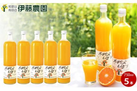 伊藤農園 100％ピュアジュース　不知火しぼり 大瓶5本セット(B608-3)