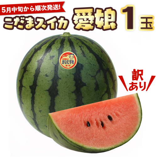 【訳あり】 際まで甘い こだまスイカ 愛娘 （１玉） 【2026年5月中旬より発送開始】 スイカ 西瓜 旬 旬の果実 旬のフルーツ くだもの 果実 フルーツ 夏 小玉スイカ 小玉 果物 美味しい 7000 [BC060sa]
