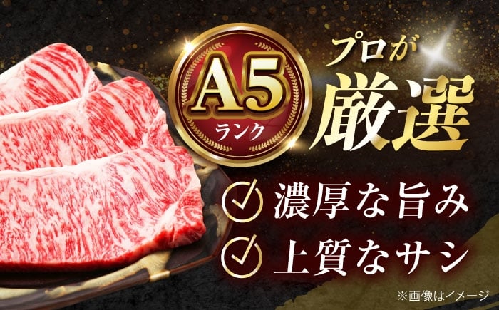 サーロインステーキ ステーキ肉 国産 和牛 A5ランク ギフト 霜降り