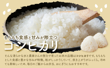 令和7年産 池山名水米 コシヒカリ 白米 精米 3kg フォーシーズン産山村