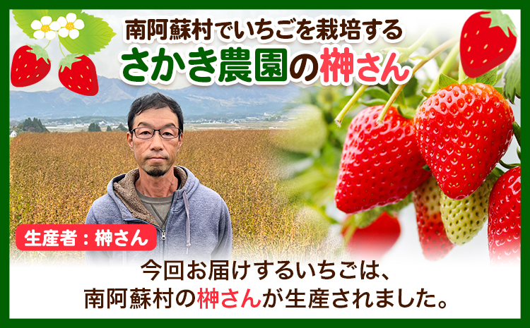 朝摘みいちご ゆめのか 280g×4パック 高地栽培 味采市場 《1月末-3月末頃より出荷予定》いちご 苺 イチゴ---sms_cajicgym_ec13_r7_12500_1120g---