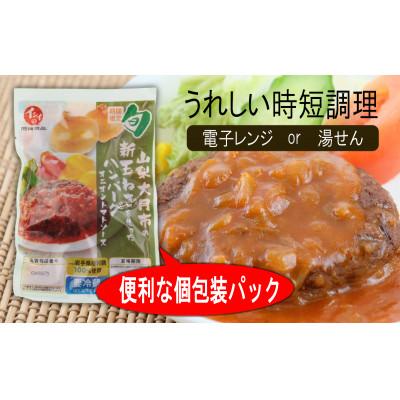 ふるさと納税 大月市 【先行予約】総重量3.4kg!オニオントマトソースハンバーグ20個セット　2025年7月より順次発送 |  | 01