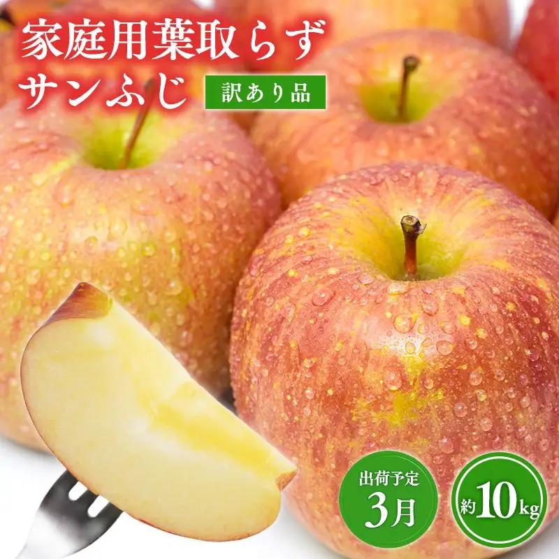  りんご 家庭用 葉取らずサンふじ 約10kg  【hi-0009-009】