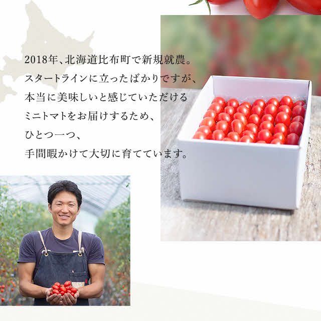 【2024年産受付】金賞受賞　フルーツトマト ジェルバ 1.2kg