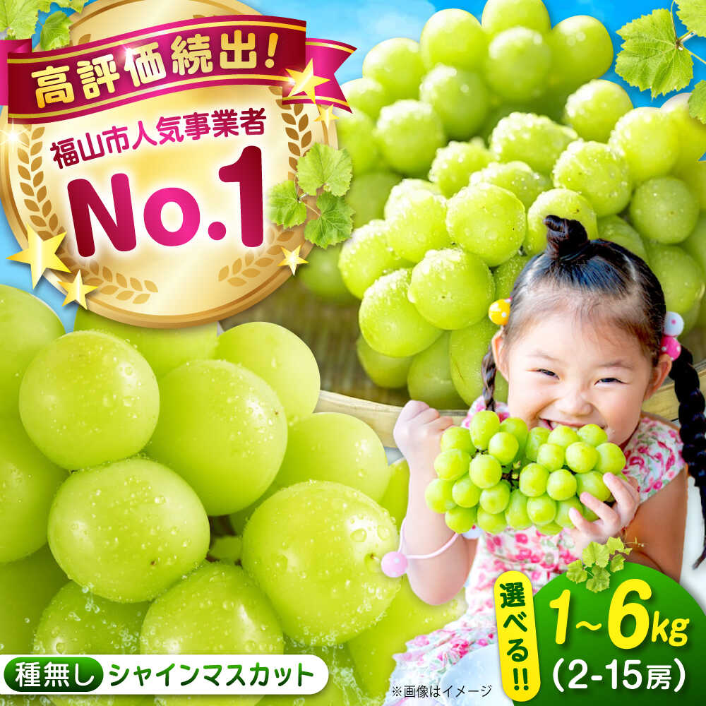 【ふるさと納税】\レビューキャンペーン開催中/ シャインマスカット 選べる数量 1kg 2kg 4kg 6kg マスカット 福山市産 人気 おすすめ【BAEV004】