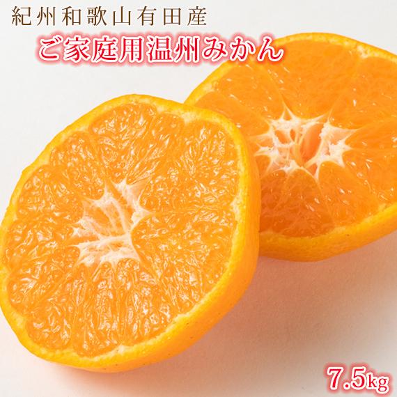 【ふるさと納税】【ご家庭用訳アリ】紀州有田産温州みかん7.5kg【2025年11月下旬以降発送】【先行予約】【UT10w】 | 先行予約 和歌山 果物 くだもの フルーツ 柑橘 蜜柑 温州 ブランド 取り寄せ ご当地 期間限定