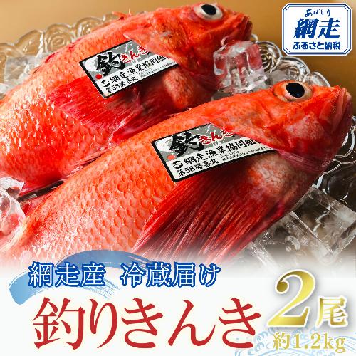 【先行予約】【冷蔵届け】網走産釣きんき【2尾で約1.2kg】（2026年4月中旬頃～11月下旬頃発送） ABAO074
