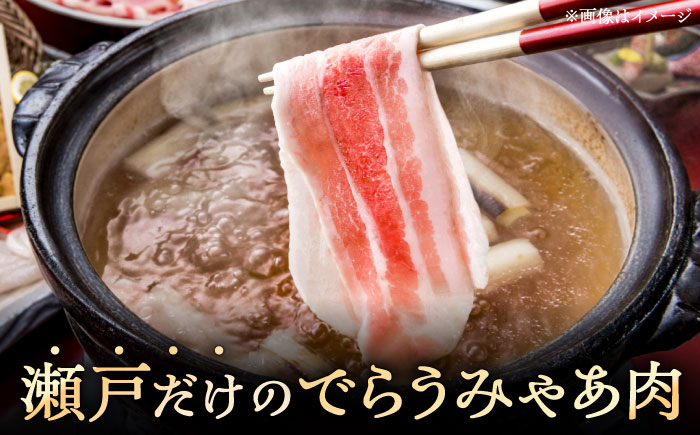 瀬戸豚 ロースしゃぶしゃぶ用 1kg / 豚肉 小分け ロース しゃぶしゃぶ / 瀬戸市 / 関屋精肉店 [BBBQ142]