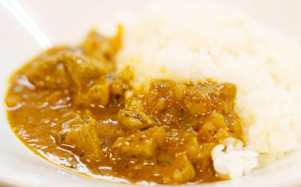 幸田消防カレー 200g×10個入り レトルトカレー カレー 小麦粉不使用