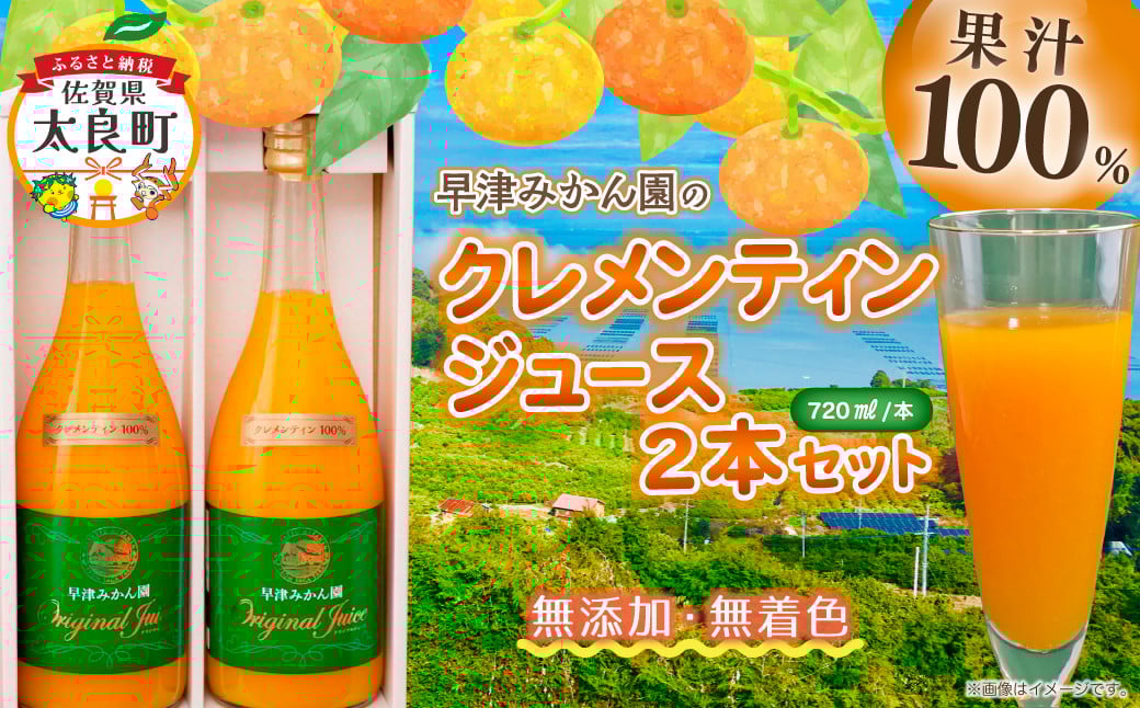 
            【数量限定】クレメンティンジュース 720ml 2本セット みかん 柑橘 フルーツ ジュース 早津みかん園 佐賀県 太良町 ND13
          