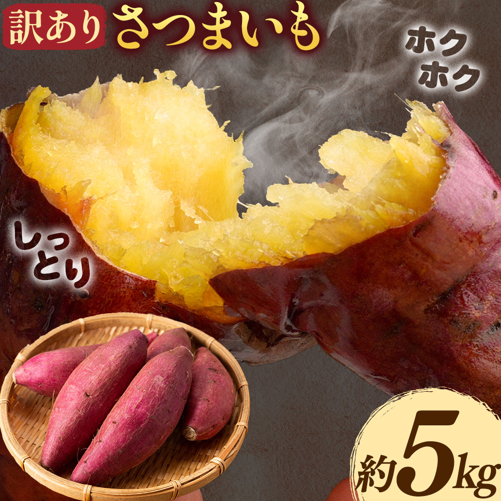 【ふるさと納税】【先行予約】訳あり さつまいも 約5kg 日本フルーツ株式会社《2026年10月上旬-11月中旬頃出荷》熊本県 菊池市 さつまいも サツマイモ 訳あり 熊本県産