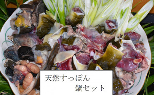 天然すっぽん鍋【1～2人前】【福岡県 筑前町 九州 お取り寄せ グルメ 食品 天然 すっぽん 鍋 すっぽん鍋 コラーゲン 送料無料 AE047】 1～2人前