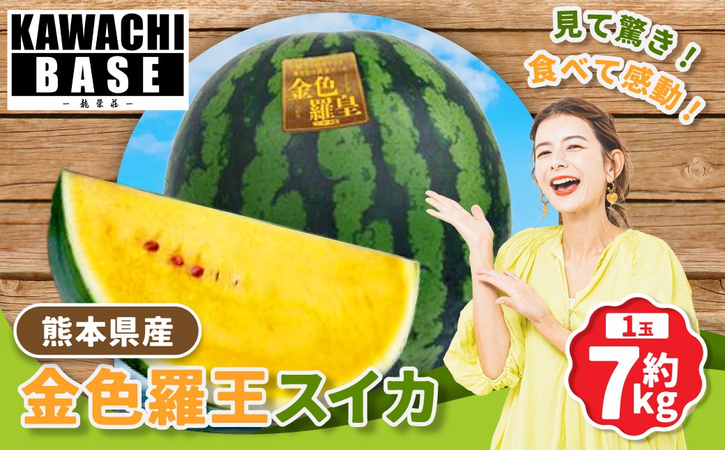 
                  熊本県産 金色羅王スイカ 1玉 約7kg スイカ 西瓜 希少 黄金スイカ 国産 果物 くだもの フルーツ 【2026年6月上旬発送開始】
                