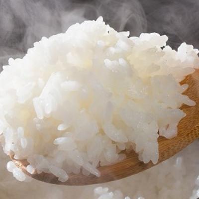 ふるさと納税 筑紫野市 ふくおか産「夢つくし5kg」「元気つくし5kg」の食べ比べ(筑紫野市) |  | 01