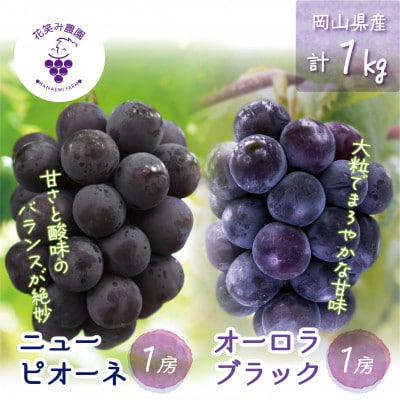 岡山　花笑み農園の『ニューピオーネ＆オーロラブラック』1kg(2房)　PA-1【配送不可地域：離島・北海道・沖縄県】